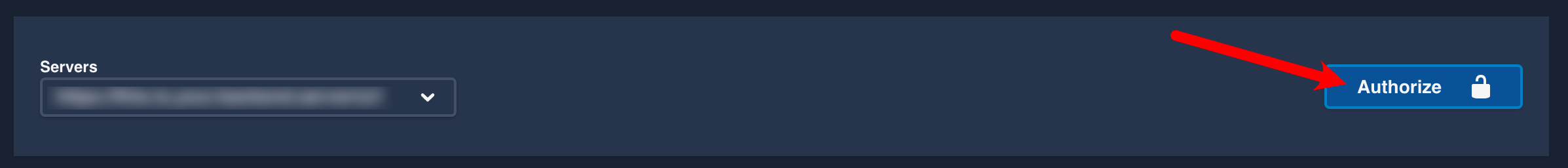 An arrow is drawn to a button labeled "Authorize."