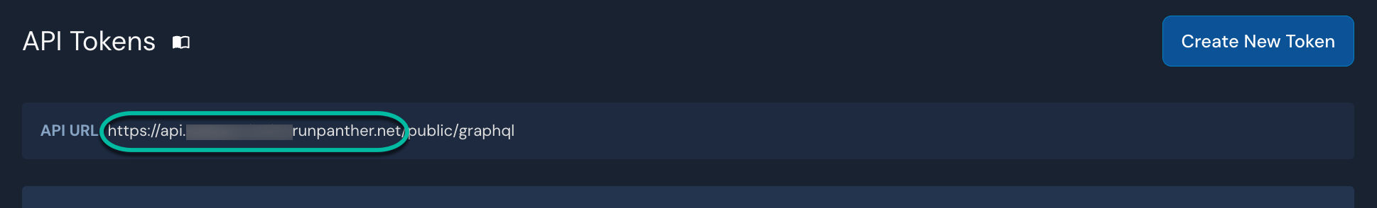 An "API Tokens" section shows a blurred-out API URL